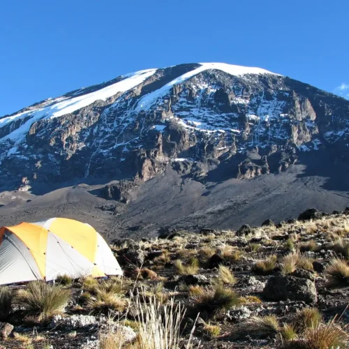 Kilimanjaro Trek Camping on mt Kilimanjaro- Travel with African Adventure Specialists