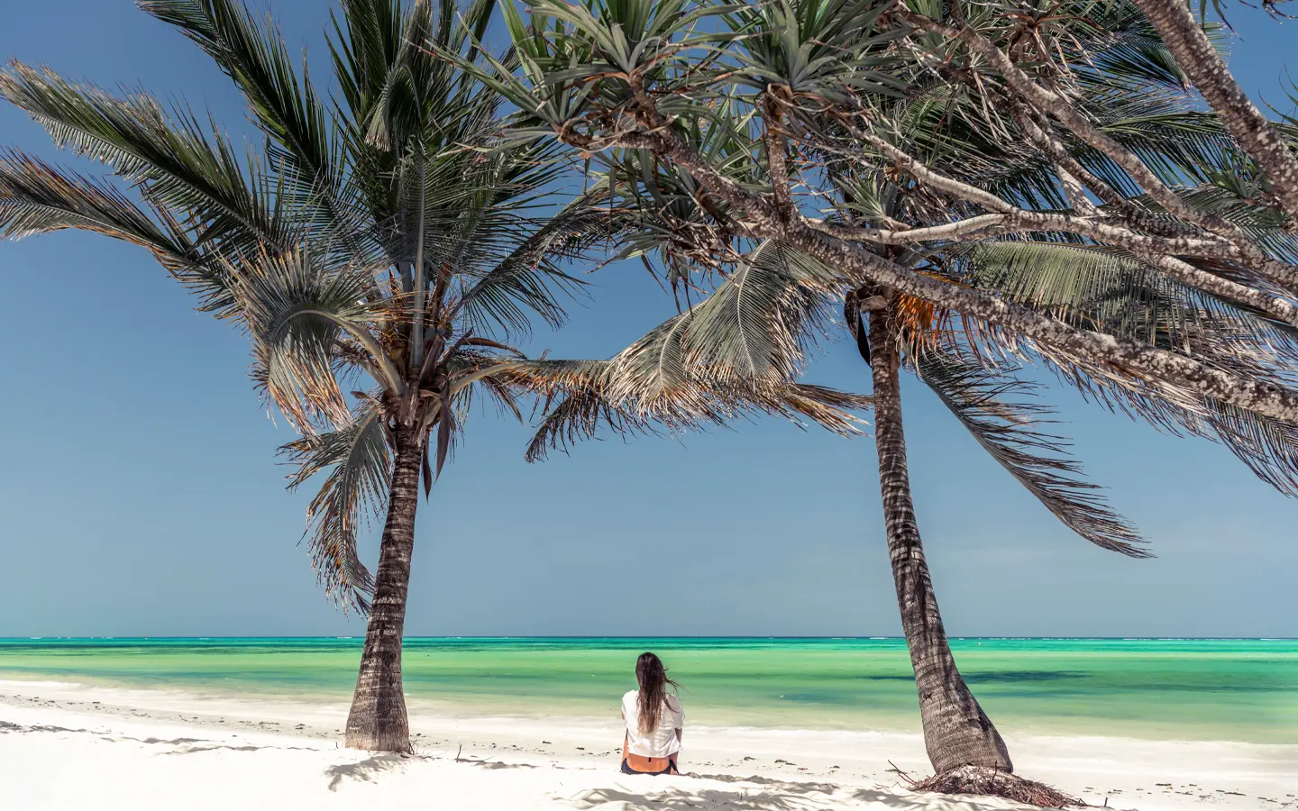 Pemba Island - East African Coast - - African Adventure Specialists - Best Destination Management Company in Tanzania