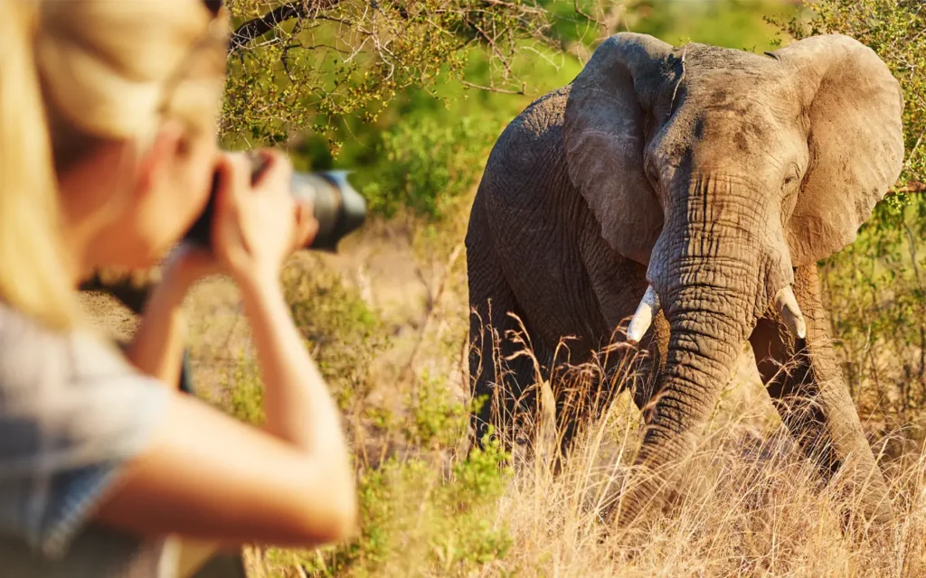 La experiencia de safari Maasai Mara Kilimanjaro- FAM Trips en Amboseli - Especialistas en aventuras africanas