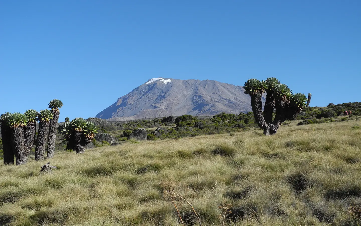 Kilimanjaro Mara Safari Adventure - Hiking Mount Kilimanjaro from Horombo Hills - African Adventure Specialists - Best Destination Management Company in Tanzania
