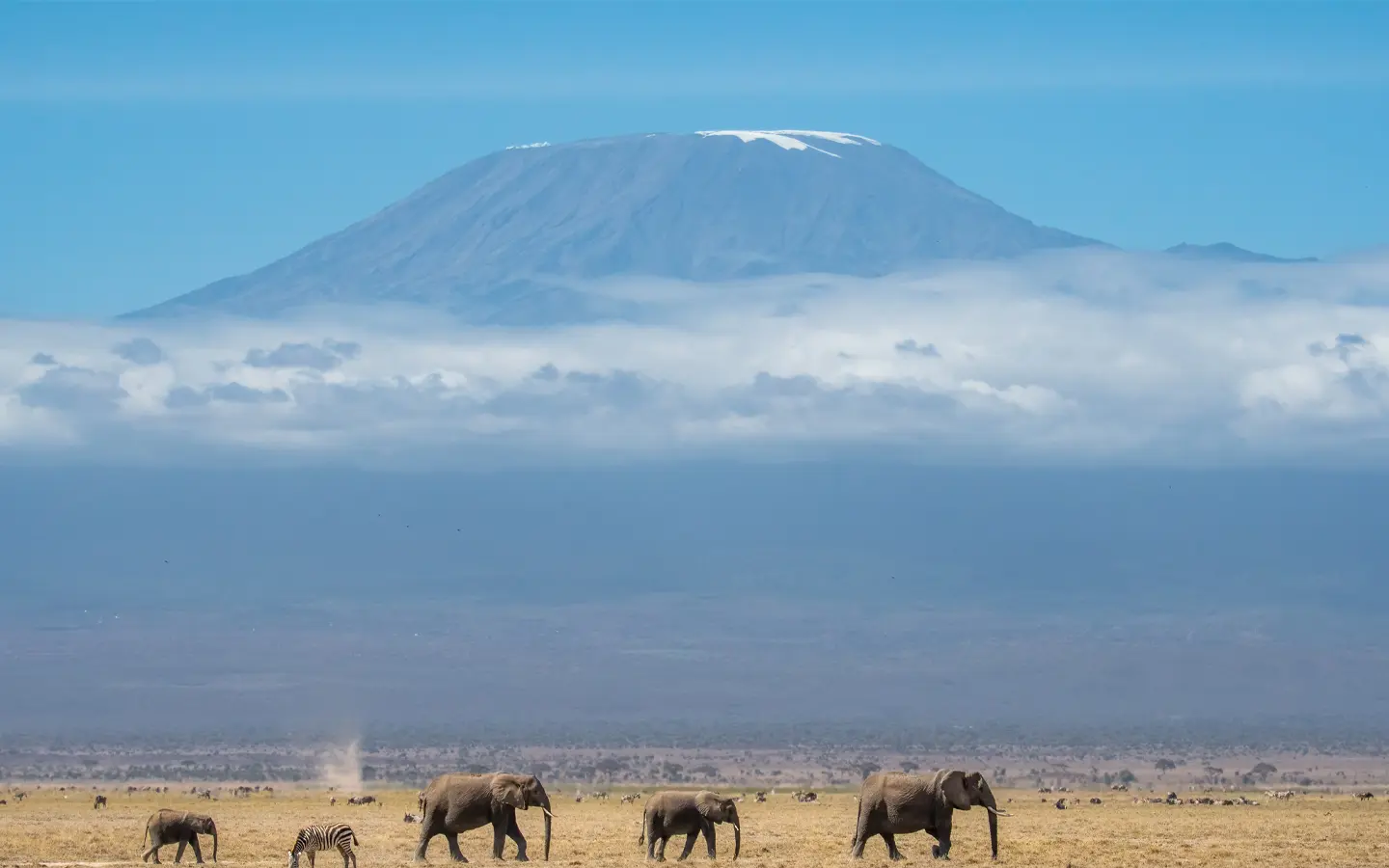 Kilimanjaro National Park - African Adventure Specialists - Best Destination Management Company in Tanzania