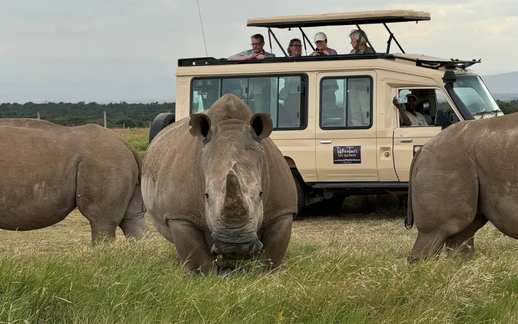 Safari exclusivo de Wings of Kenya - Rinocerontes en el Masai Mara- African Adventure Specialists
