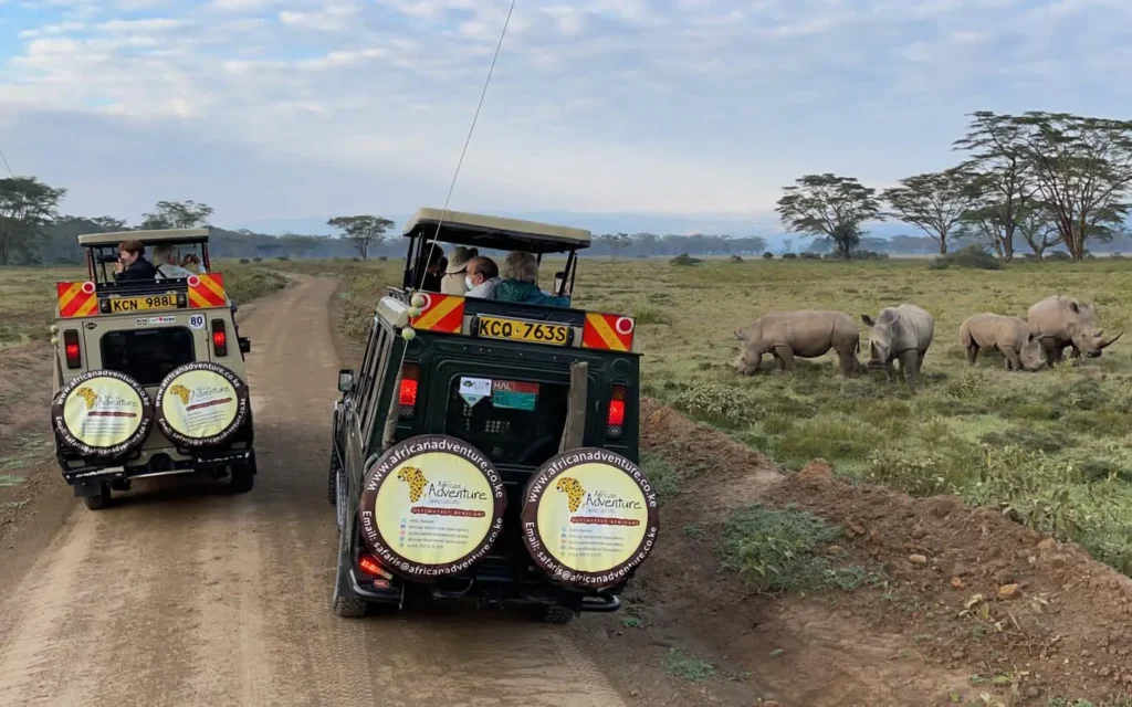 La Experiencia Definitiva de Safari en Kenia - Safari en plena acción - Viaja con African Adventure Specialists