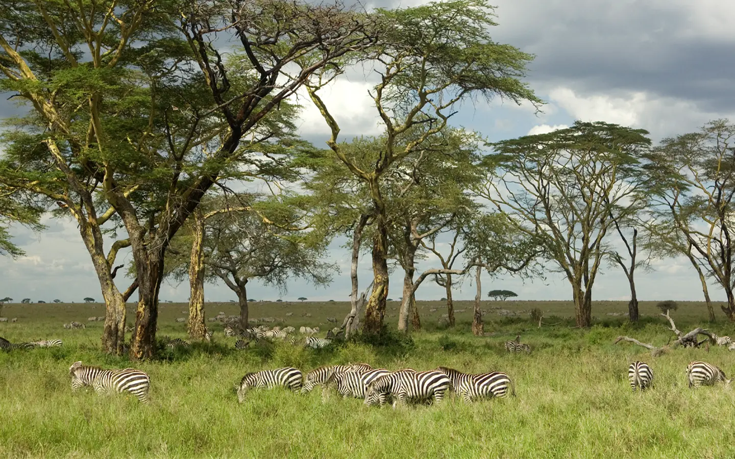 Arusha National Park - African Adventure Specialists - Best Destination Management Company in Tanzania