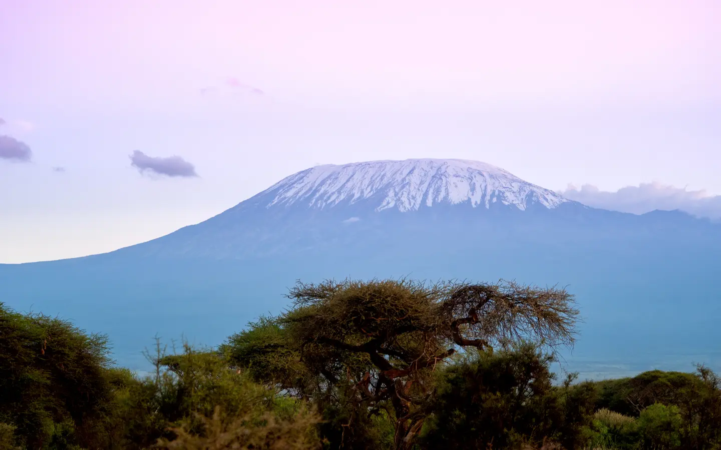 Kilimanjaro Trek - The View of Kilimanjaro from Amboseli National Park- African Adventure Specialists - Best Destination Management Company in Kenya
