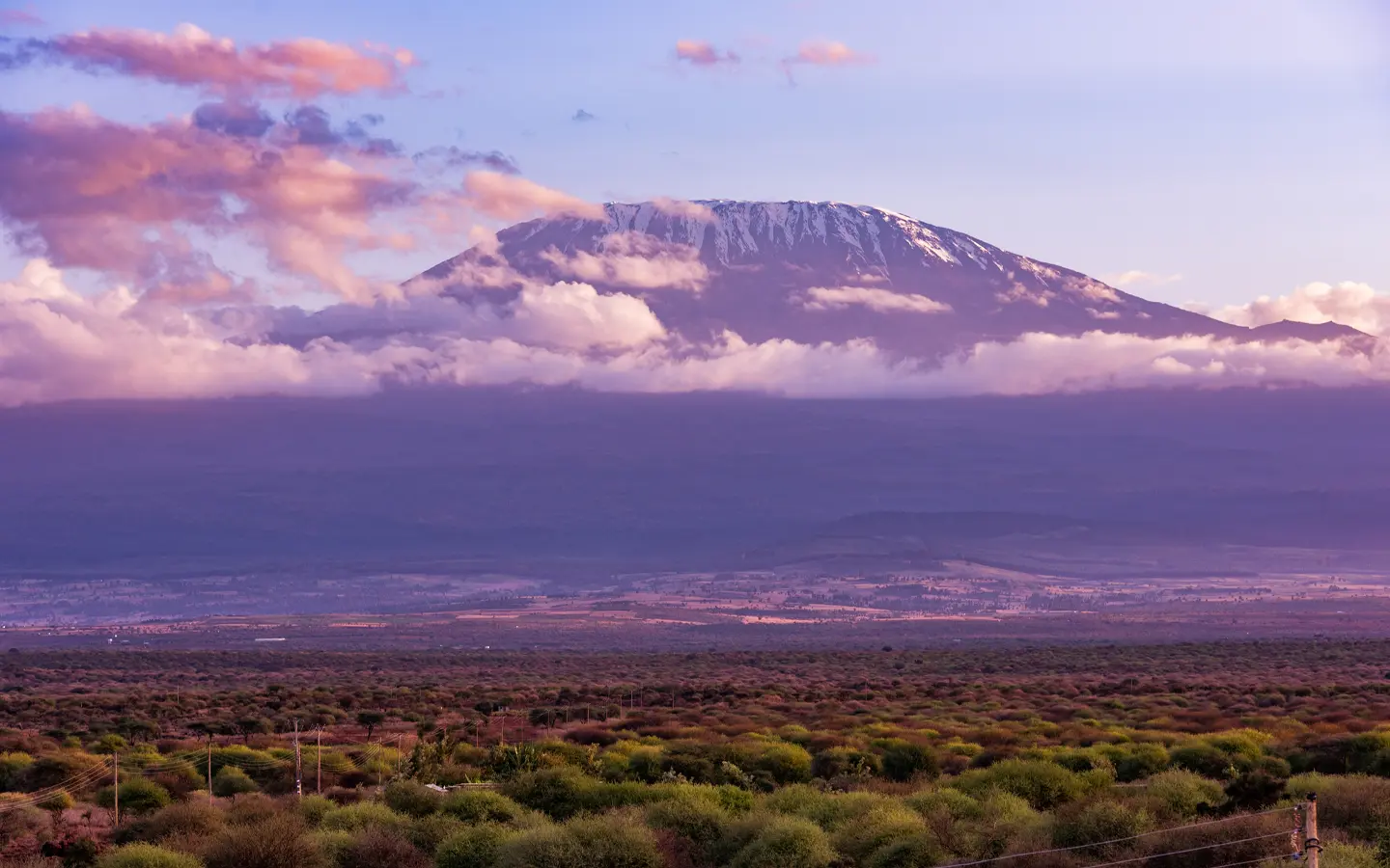 Kilimanjaro Summit - The View of mount Kilimanjaro from Amboseli National Park- African Adventure Specialists - Best Destination Management Company in Kenya