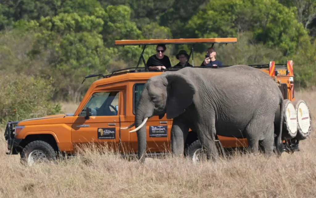 Safari redefinido: La esencia de lo salvaje - Turista de safari en el Masai Mara - Especialistas en aventuras africanas