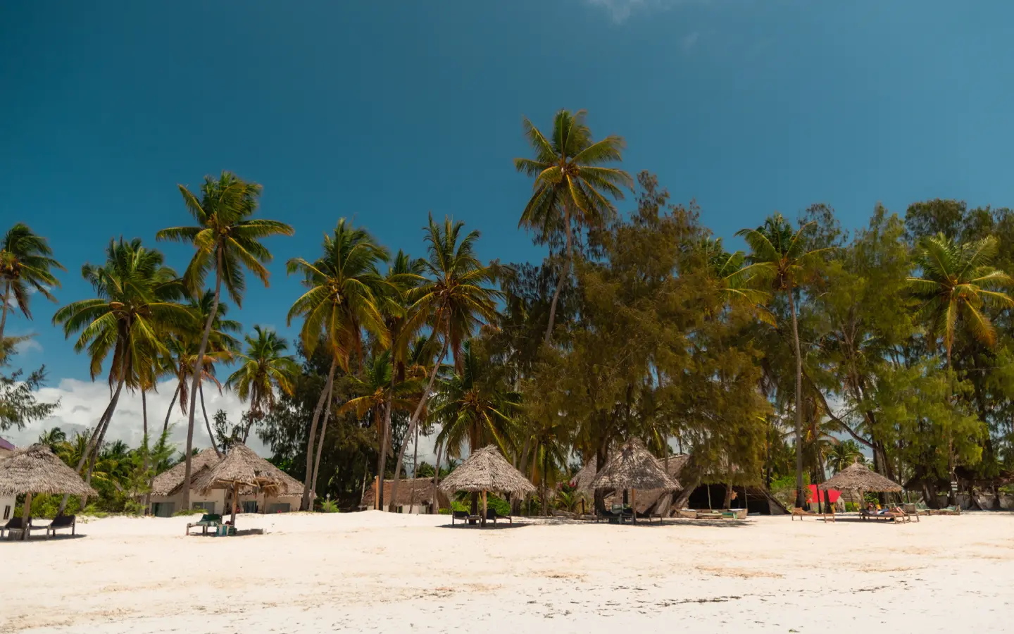 Zanzibar beach - African Adventure Specialists - Best Destination Management Company in Kenya